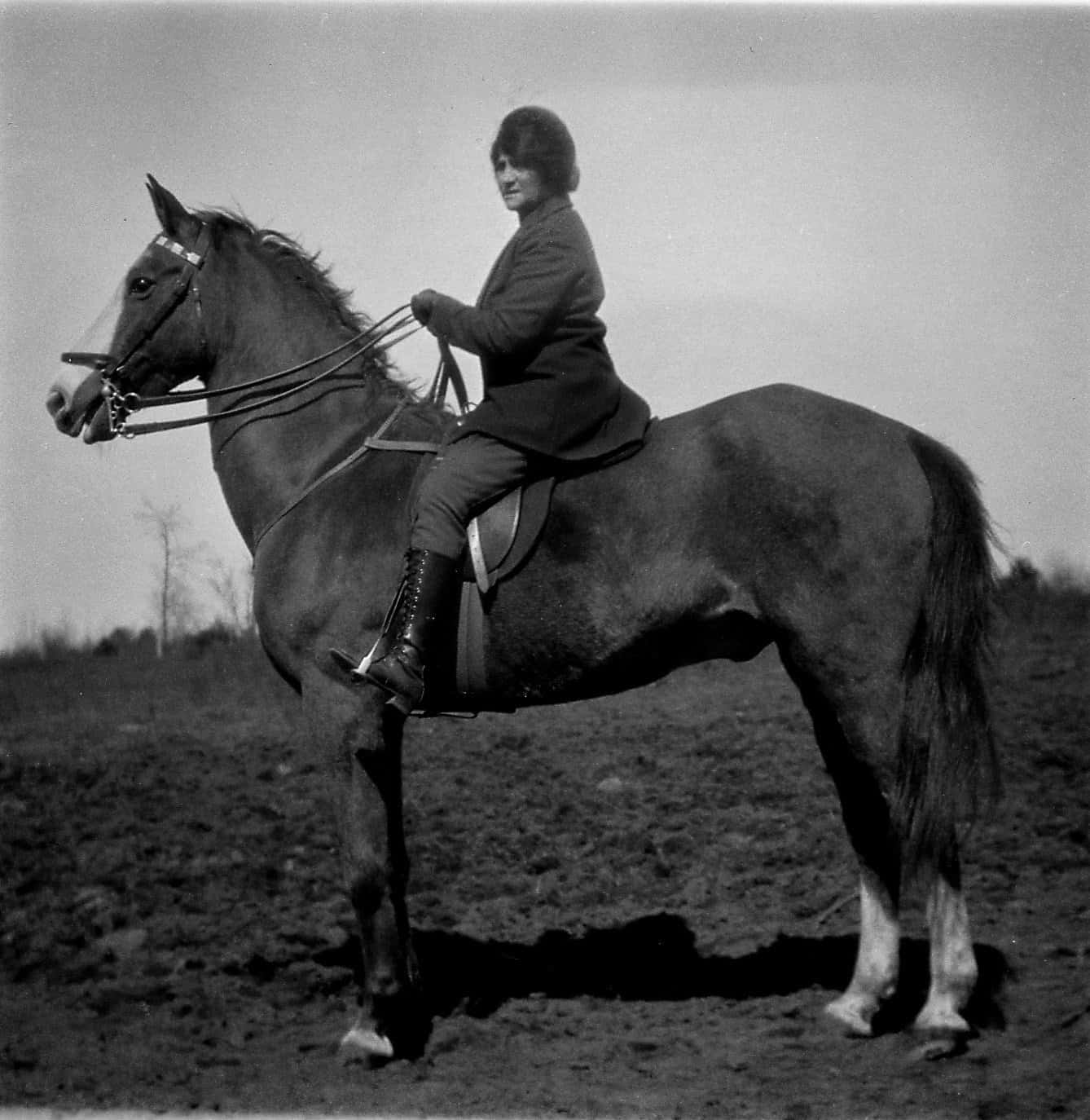 who was rosamond gifford the gifford foundation